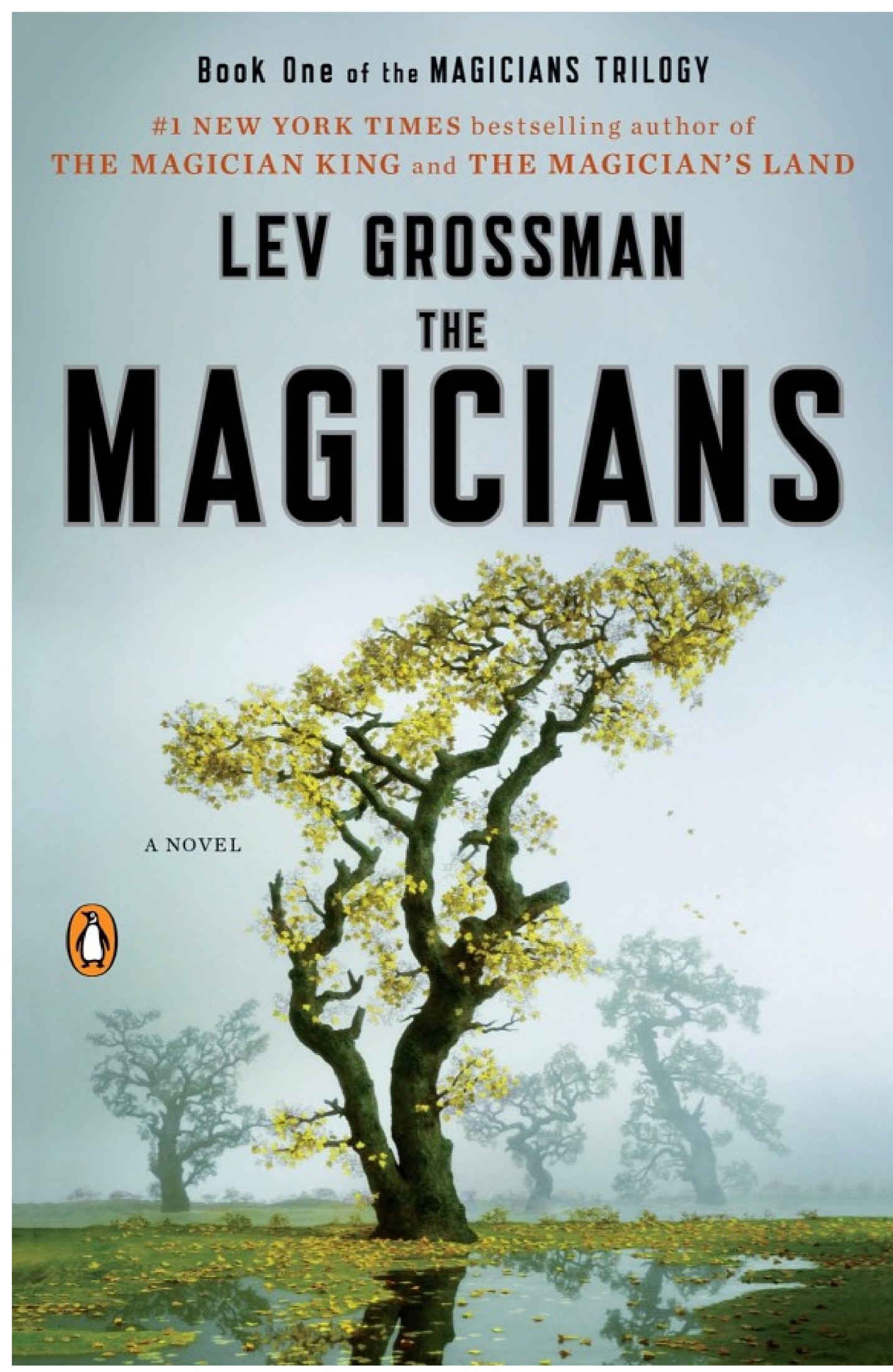 The Magicians